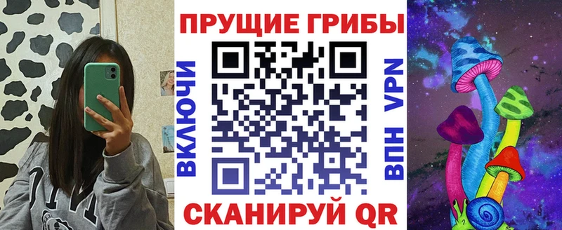Псилоцибиновые грибы Psilocybine cubensis  Купить  Майский 